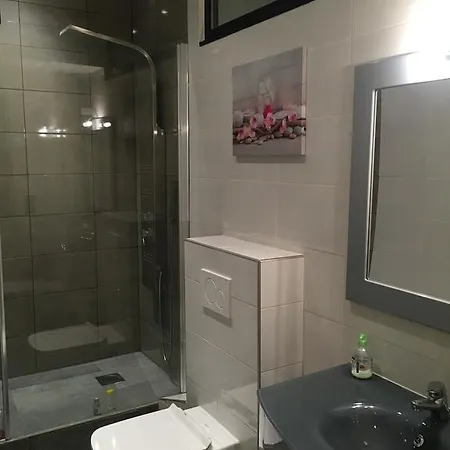 Gallo Comfort ניס